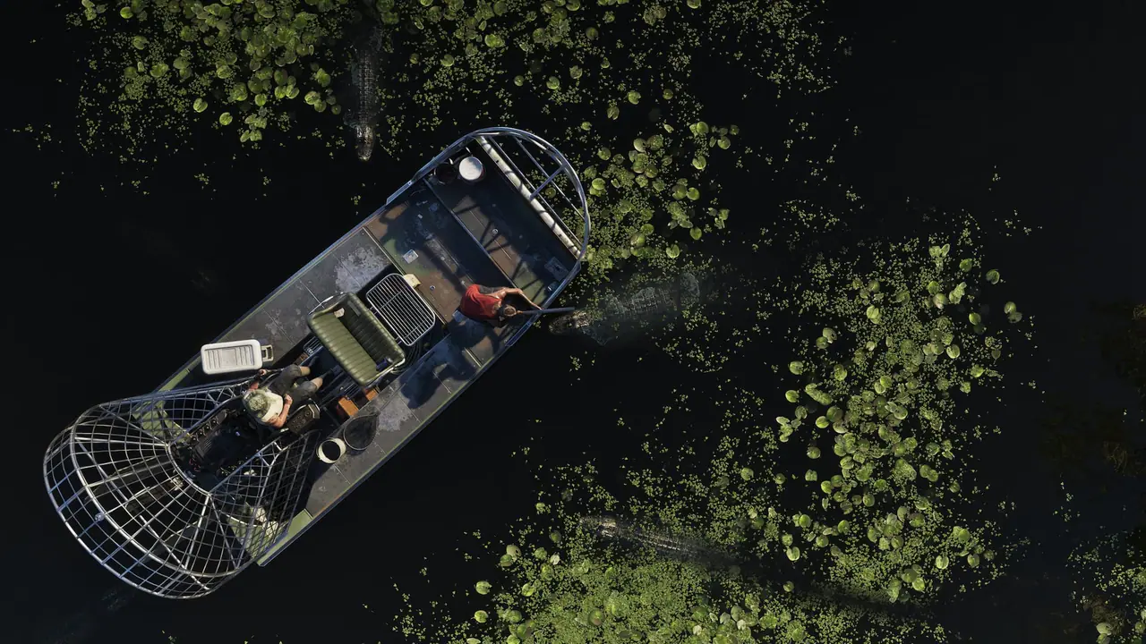 An airboat seen from above gliding through dark swamp water and lily pads